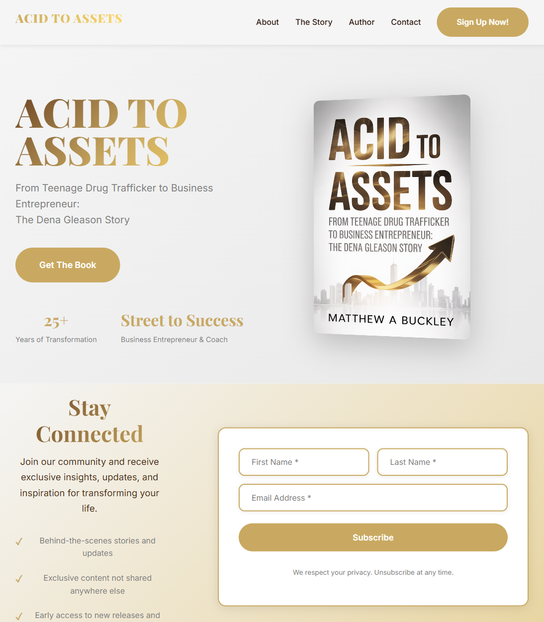 Acid to Assets - Book cover and pre-launch sales project