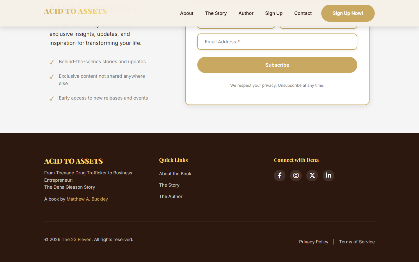 AcidToAssets.com deep espresso footer with four-column layout — brand info, quick links, social media icons, and copyright