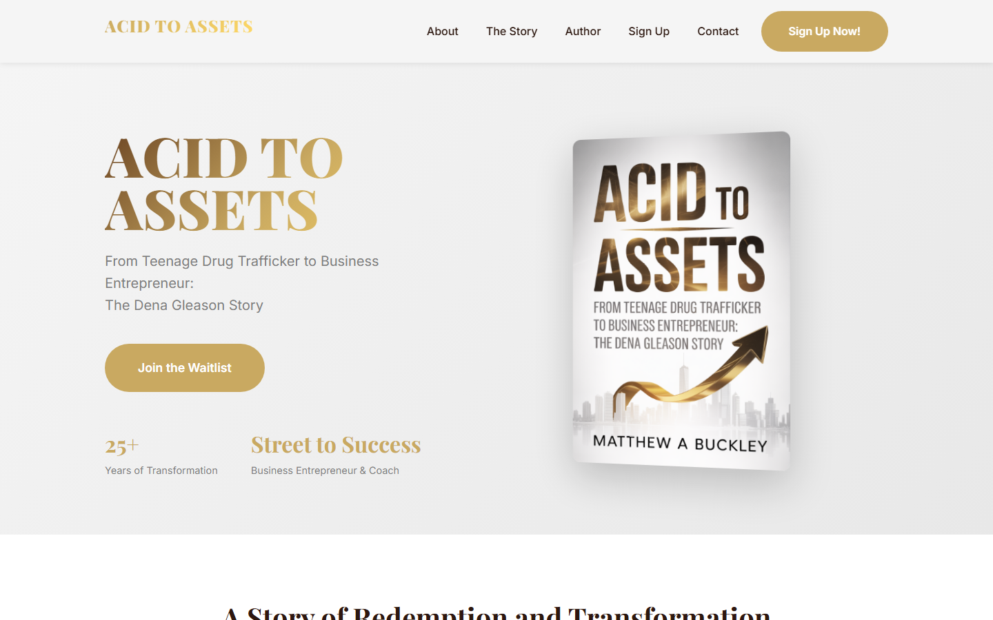 Acid to Assets — premium book sales funnel with luxury gold design and 3D book cover